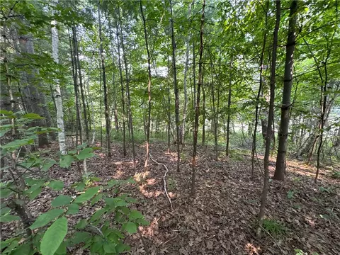 00 70th St, Apple River, WI 54889 photo 31
