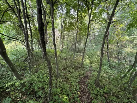00 70th St, Apple River, WI 54889 photo 14