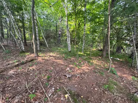 00 70th St, Apple River, WI 54889 photo 33