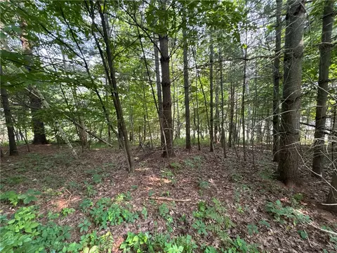 00 70th St, Apple River, WI 54889 photo 15