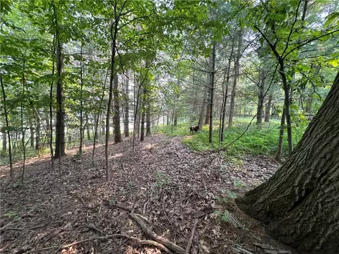 00 70th St, Apple River, WI 54889 photo 28