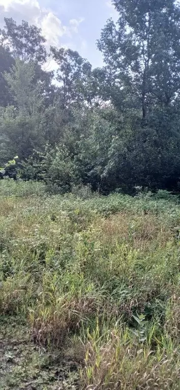 10 Ac River Rd, Boyd, WI 54726 photo 5