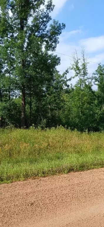 10 Ac River Rd, Boyd, WI 54726