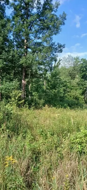 10 Ac River Rd, Boyd, WI 54726 photo 4