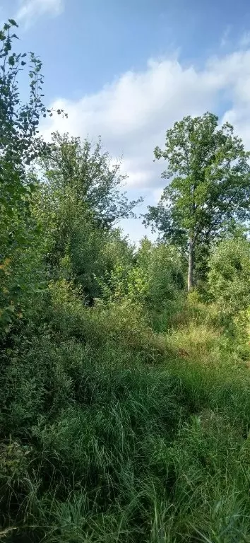 10 Ac River Rd, Boyd, WI 54726 photo 3
