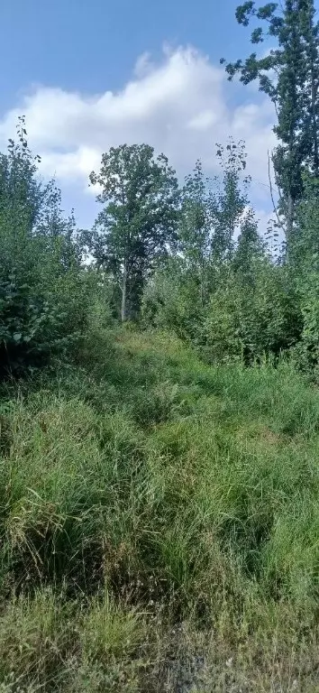 10 Ac River Rd, Boyd, WI 54726 photo 6