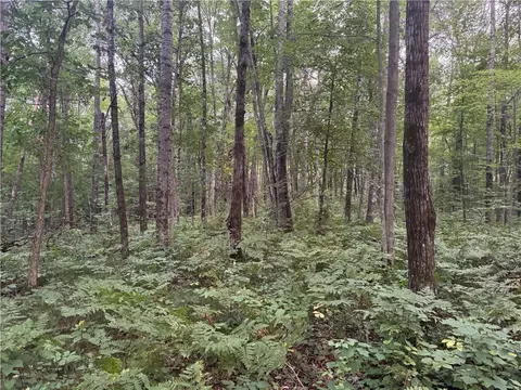 13 Acres On County Rd A, Spooner, WI 54801 photo 13