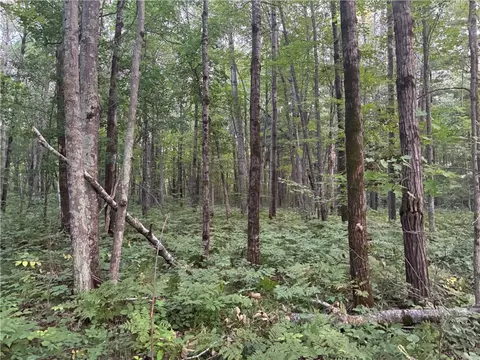13 Acres On County Rd A, Spooner, WI 54801 photo 9