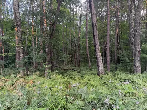 13 Acres On County Rd A, Spooner, WI 54801 photo 7