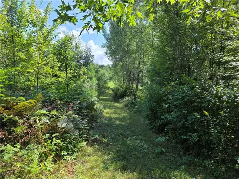 0 N Mackey Rd, Springbrook, WI 54875 photo 14