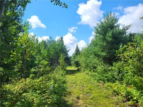0 N Mackey Rd, Springbrook, WI 54875 photo 44