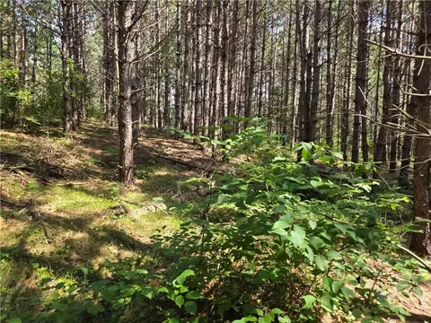 0 N Mackey Rd, Springbrook, WI 54875 photo 21