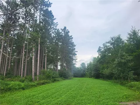N7400 Edgerton Road, Springbrook, WI 54875 photo 7