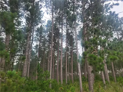 N7400 Edgerton Road, Springbrook, WI 54875 photo 11