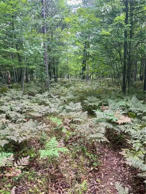 lot43 Deerpath Trail Way, Danbury, WI 54830
