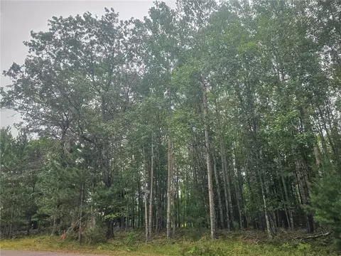 Nn Loon Lake Road, Danbury, WI 54830