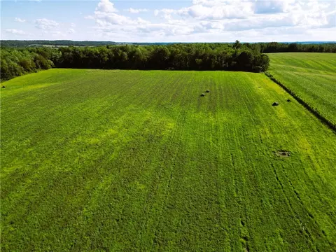 10 Acres 235th Ave, Bloomer, WI 54724 photo 6