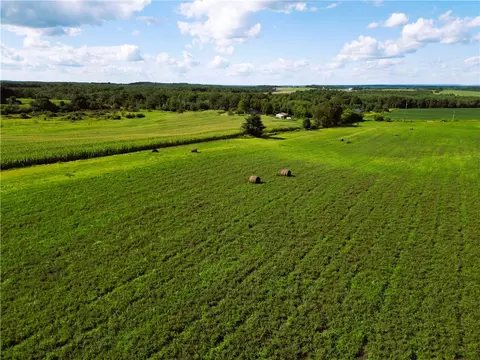 10 Acres 235th Ave, Bloomer, WI 54724 photo 12