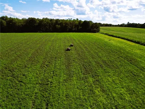 10 Acres 235th Ave, Bloomer, WI 54724 photo 9