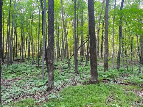 0 Pershing Rd, Shell Lake, WI 54813 photo 15