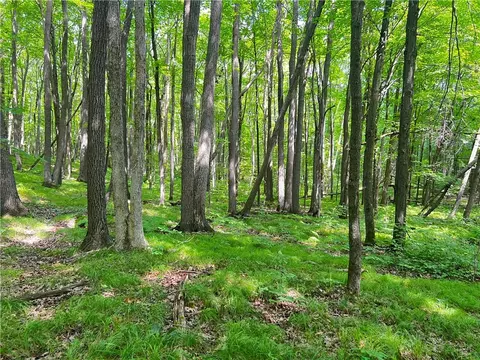 0 Pershing Rd, Shell Lake, WI 54813 photo 19
