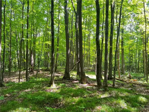 0 Pershing Rd, Shell Lake, WI 54813 photo 12