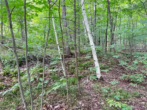 0 Pershing Rd, Shell Lake, WI 54813 photo 26