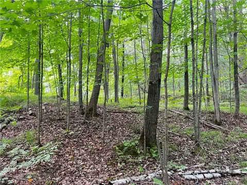 0 Pershing Rd, Shell Lake, WI 54813 photo 25
