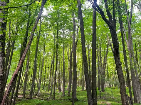 0 Pershing Rd, Shell Lake, WI 54813 photo 3