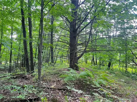 0 Pershing Rd, Shell Lake, WI 54813 photo 22