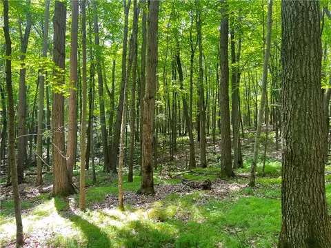 0 Pershing Rd, Shell Lake, WI 54813 photo 8