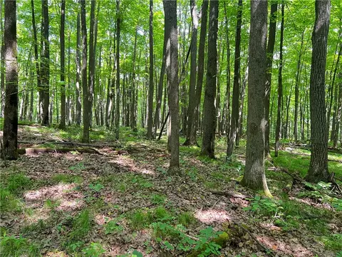 0 Pershing Rd, Shell Lake, WI 54813 photo 10