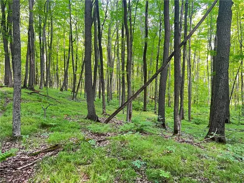 0 Pershing Rd, Shell Lake, WI 54813 photo 17