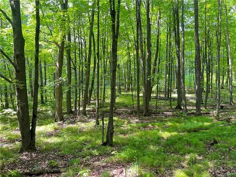 0 Pershing Rd, Shell Lake, WI 54813 photo 20