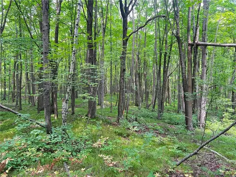 0 Pershing Rd, Shell Lake, WI 54813 photo 21