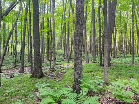 0 Pershing Rd, Shell Lake, WI 54813 photo 18