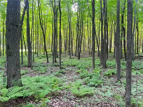0 Pershing Rd, Shell Lake, WI 54813 photo 14