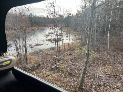 000 Historic Rd, Weyerhaeuser, WI 54895 photo 19