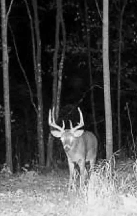 000 Historic Rd, Weyerhaeuser, WI 54895 photo 11