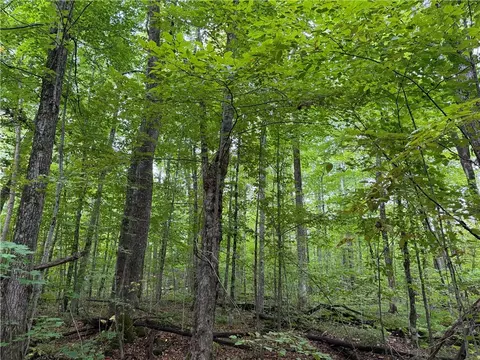 9598 E County Road L, Lake Nebagamon, WI 54849
