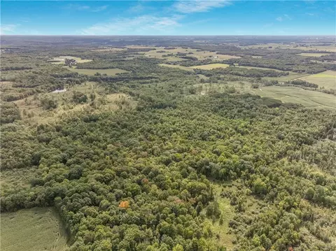 40 Acres 330th St, Boyd, WI 54726 photo 19