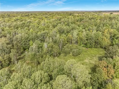 40 Acres 330th St, Boyd, WI 54726 photo 10