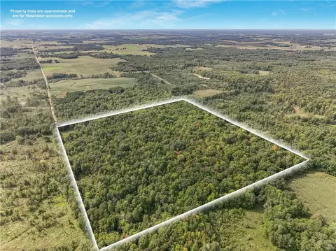 40 Acres 330th St, Boyd, WI 54726 photo 9