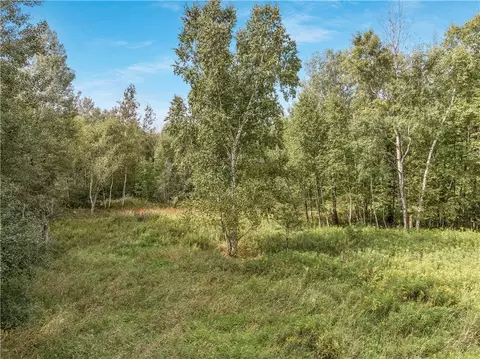 40 Acres 330th St, Boyd, WI 54726 photo 5