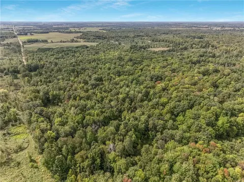 40 Acres 330th St, Boyd, WI 54726 photo 22