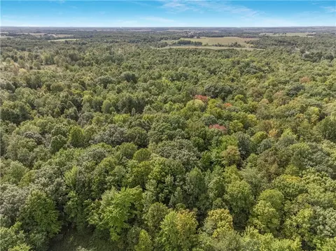 40 Acres 330th St, Boyd, WI 54726 photo 24