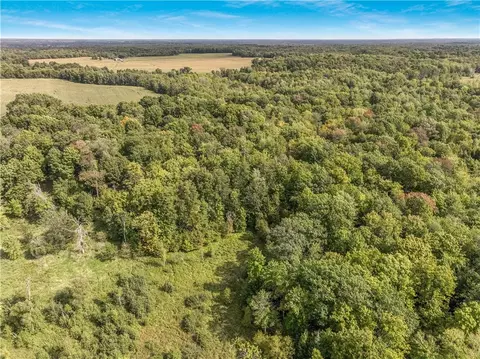 40 Acres 330th St, Boyd, WI 54726 photo 11