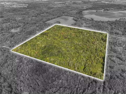 40 Acres 330th St, Boyd, WI 54726 photo 6