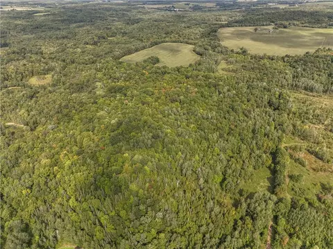 40 Acres 330th St, Boyd, WI 54726 photo 15
