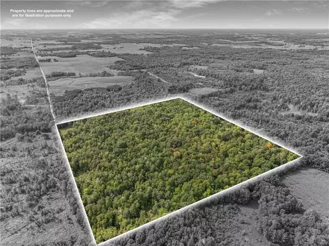 40 Acres 330th St, Boyd, WI 54726 photo 7